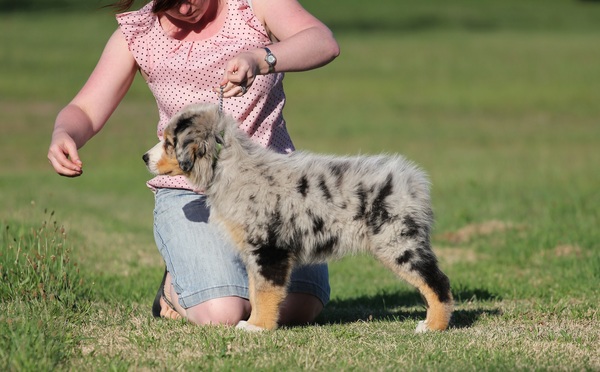 gattystack11weeks