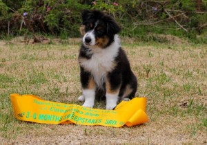 Rookies haul from her first weekend of showing     